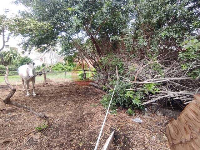 Terreno para Venda em Cabo Frio - 4