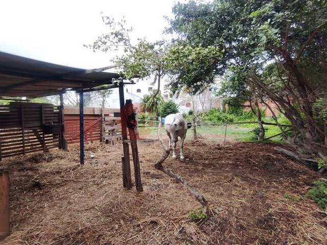 Terreno para Venda em Cabo Frio - 5