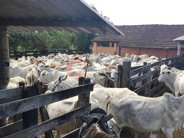 Fazenda para Venda em Araruama - 4