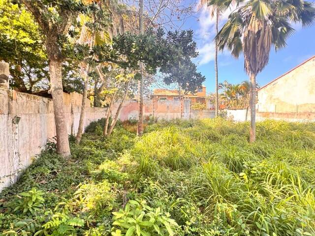 #2097 - Terreno para Venda em Cabo Frio - RJ - 3