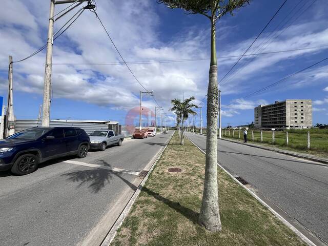 Apartamento para Lançamento em São Pedro da Aldeia - 4