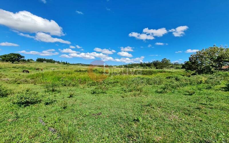 Terreno, 252 hectares - Foto 2