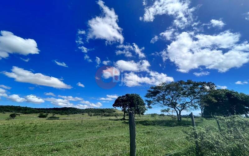 Terreno, 252 hectares - Foto 9