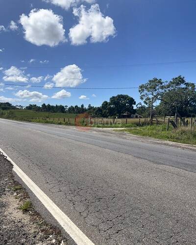 Terreno, 252 hectares - Foto 16