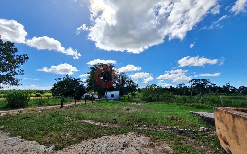 Terreno, 252 hectares - Foto 18
