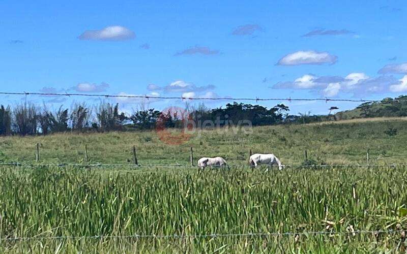 Terreno, 252 hectares - Foto 17