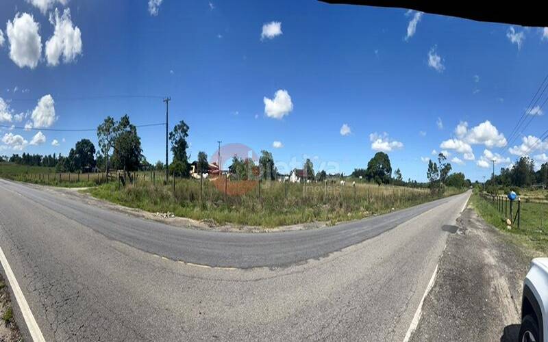 Terreno, 252 hectares - Foto 24