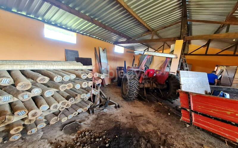 Terreno, 252 hectares - Foto 28