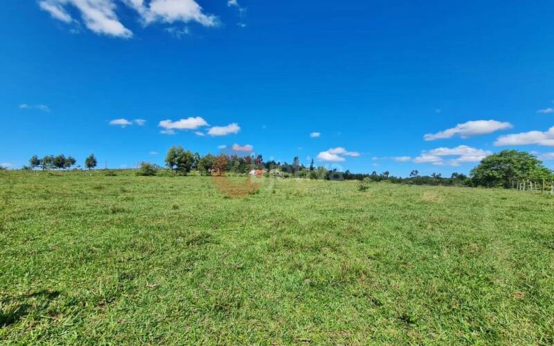 Terreno, 252 hectares - Foto 31