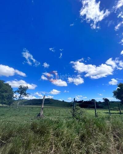 Terreno, 252 hectares - Foto 36