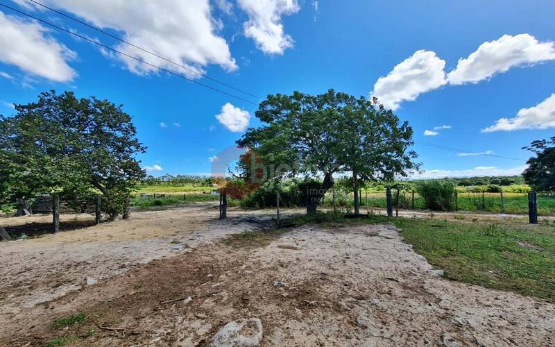 Terreno, 252 hectares - Foto 42