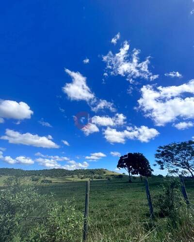 Terreno, 252 hectares - Foto 46