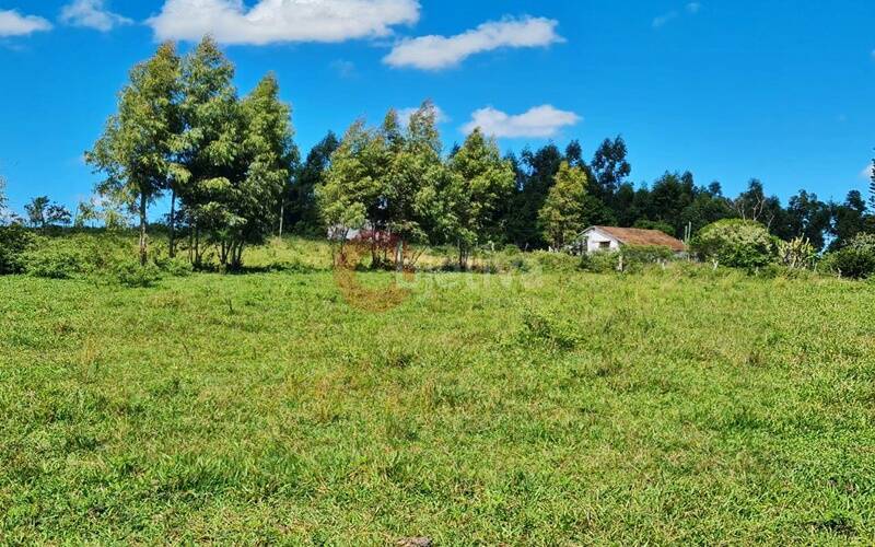 Terreno, 252 hectares - Foto 53