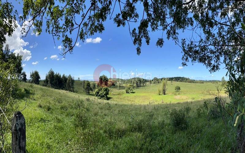 Terreno, 252 hectares - Foto 50