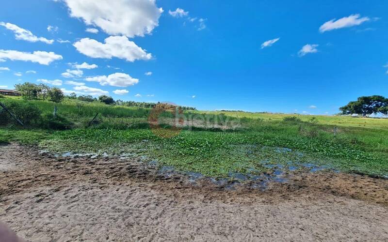 Terreno, 252 hectares - Foto 49
