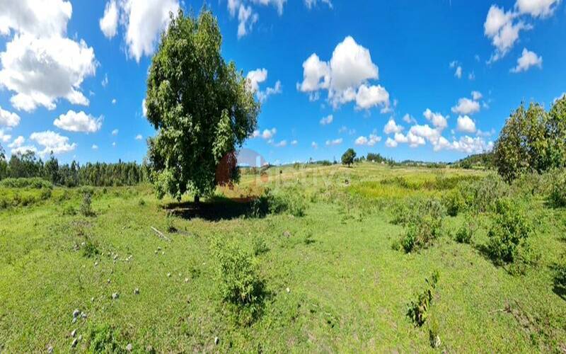 Terreno, 252 hectares - Foto 58