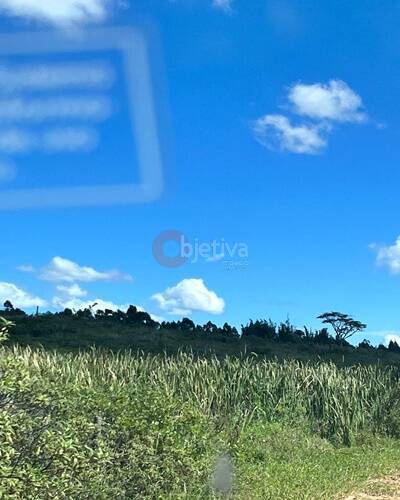 Terreno, 252 hectares - Foto 61